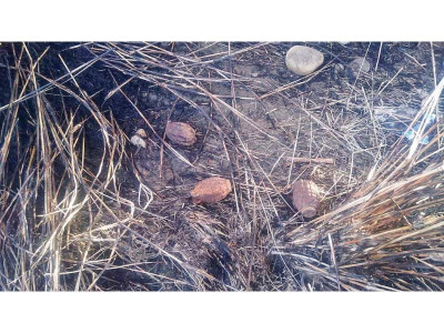 grenades defused in pindi