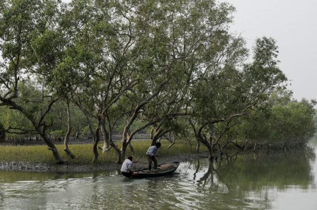 men on a boat row past mangrove trees encircling the island of satjelia in the sundarbans india december 15 2019 reuters men on a boat row past mangrove trees encircling the island of satjelia in the sundarbans india december 15 2019 reuters