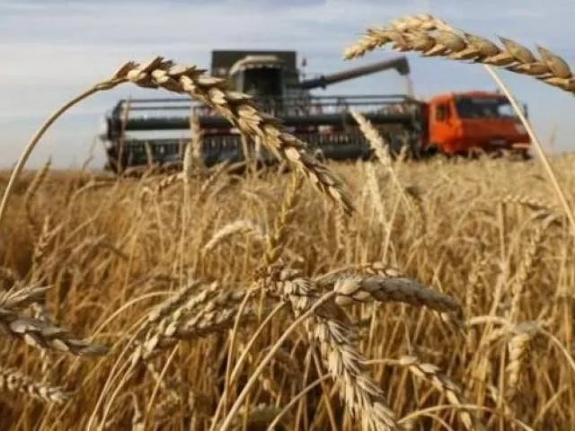 govt has allowed export of 0 5m tons of the commodity photo file govt has allowed export of 0 5m tons of the commodity photo file