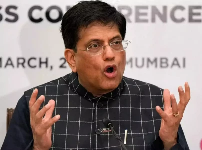 indian trade minister to skip pakistan visit indian trade minister to skip pakistan visit