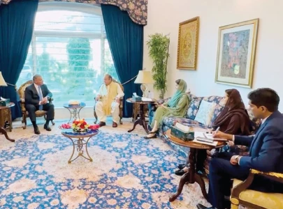 maryam nawaz discuss trade promotion with us envoy