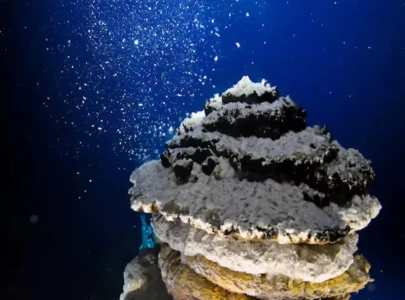 a deep sea discovery that has split scientists a deep sea discovery that has split scientists