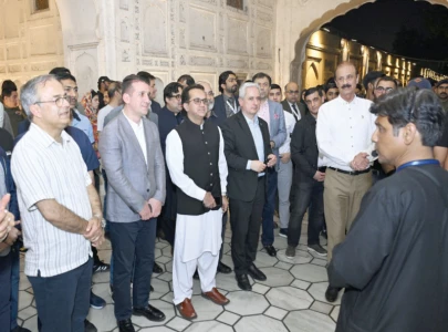 eco team enjoys city sites culture