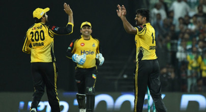 hasan imam guide zalmi to victory over sultans