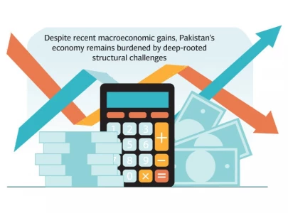 economy slows as growth dips