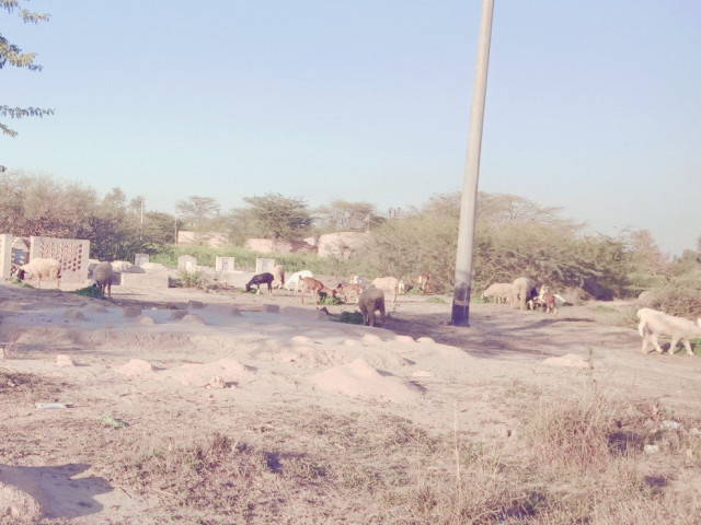 hasnainabad graveyard in a shambles photo express hasnainabad graveyard in a shambles photo express
