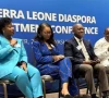 london diaspora pledges support for investment