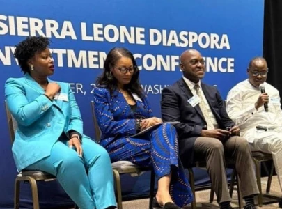 london diaspora pledges support for investment