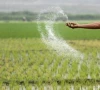 crackdown ordered on adulterated fertilisers pesticides