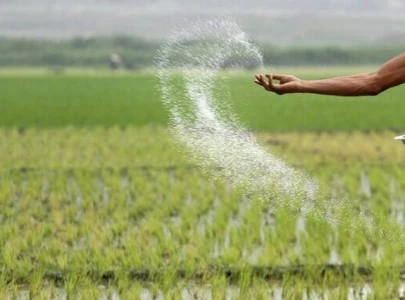 crackdown ordered on adulterated fertilisers pesticides crackdown ordered on adulterated fertilisers pesticides