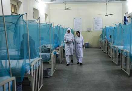 dengue data gaps alarm health officials