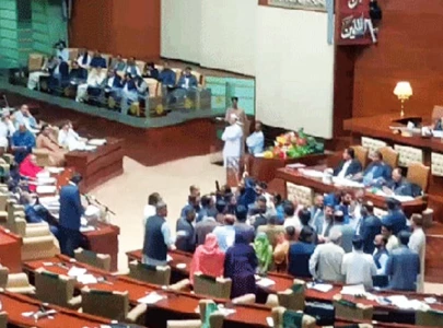 opposition stages walkout rejects budget as anti people wordplay