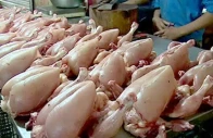 chicken prices surge to rs700 per kilogram