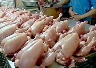 chicken prices surge to rs700 per kilogram