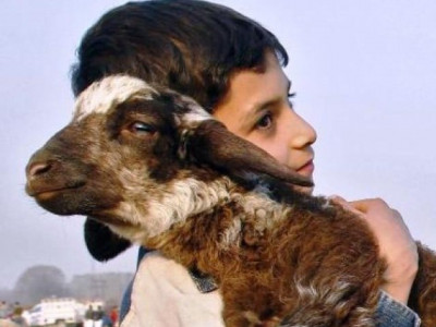 a father s wish on eidul azha