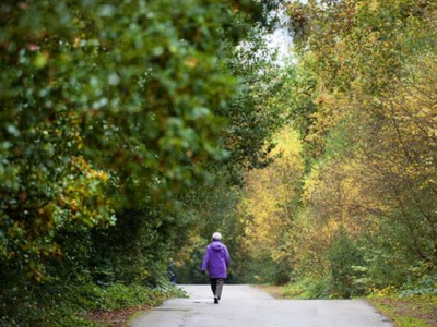 feeling down take a walk in the park feeling down take a walk in the park