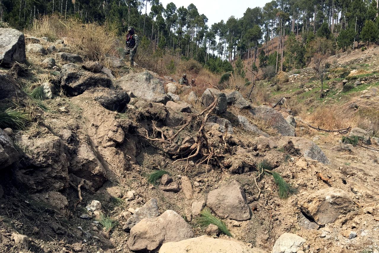 two reuters reporters who visited the site of indian jets 039 bombings say up to 15 pine trees were brought down photo reuters