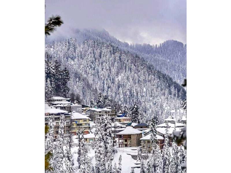 a view of nathiagali after snowfall photo express