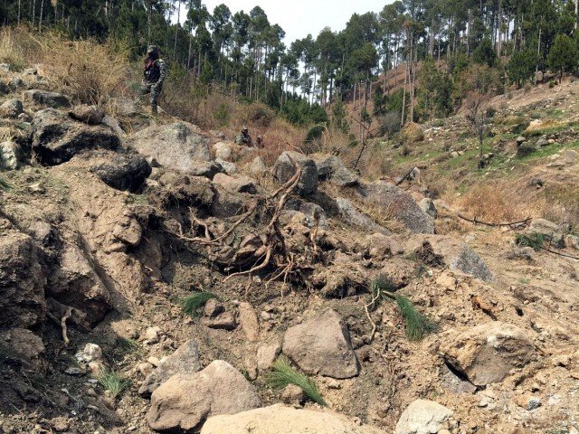 two reuters reporters who visited the site of indian jets 039 bombings say up to 15 pine trees were brought down photo reuters