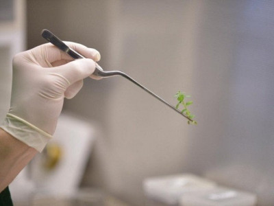 biotechnology can transform pakistan s economy biotechnology can transform pakistan s economy