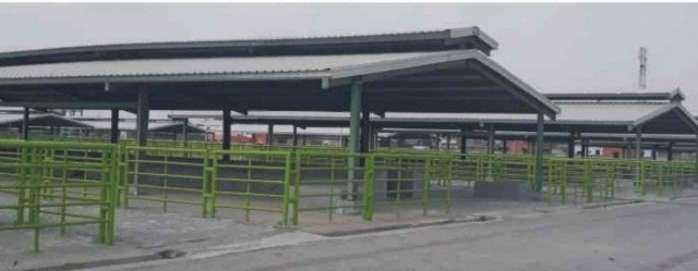 10 work on the cattle market could not be completed due to lack of funds photo express 10 work on the cattle market could not be completed due to lack of funds photo express