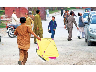 capital residents demand action against kite flying capital residents demand action against kite flying