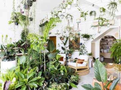 greener spaces can boost your mental health study