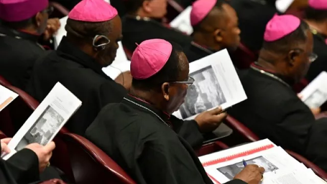 last month a vatican meeting addressed the issue of sex abuse within the catholic church photo afp last month a vatican meeting addressed the issue of sex abuse within the catholic church photo afp