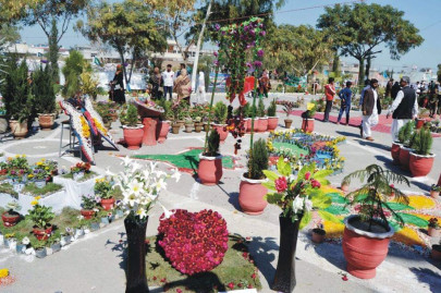 first two day flower show ends in bhakkar