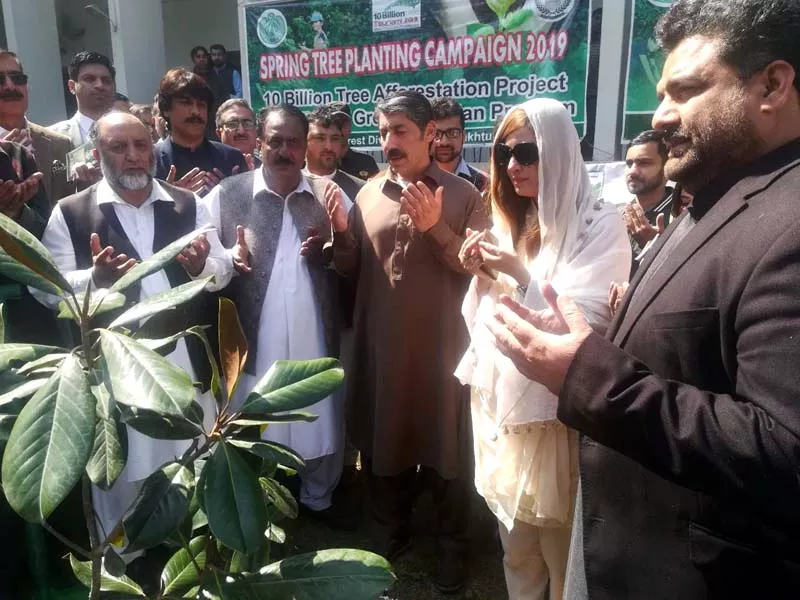 state minister for climate change zartaj gul k p environment minister ishtiaq urmar and senior officials offering dua after planting a tree photo express state minister for climate change zartaj gul k p environment minister ishtiaq urmar and senior officials offering dua after planting a tree photo express