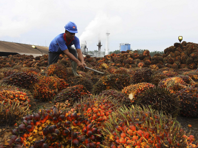 european commission says palm oil cultivation results in deforestation photo reuters