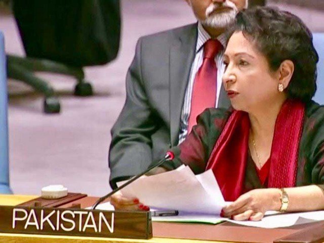 ambassador lodhi links attack to stereotyping saying it can lead to demonisation photo file