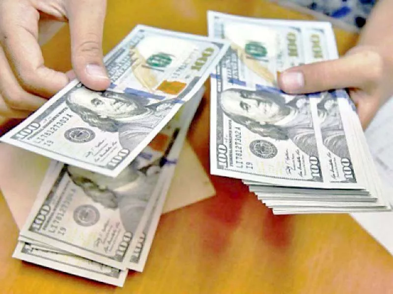 since pakistan s economy is heavily dependent on imported goods the movement in exchange rate carries huge inflationary implications photo file since pakistan s economy is heavily dependent on imported goods the movement in exchange rate carries huge inflationary implications photo file