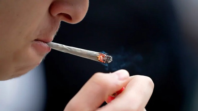 high potency cannabis strongly linked to risk of developing psychotic disorders photo afp high potency cannabis strongly linked to risk of developing psychotic disorders photo afp