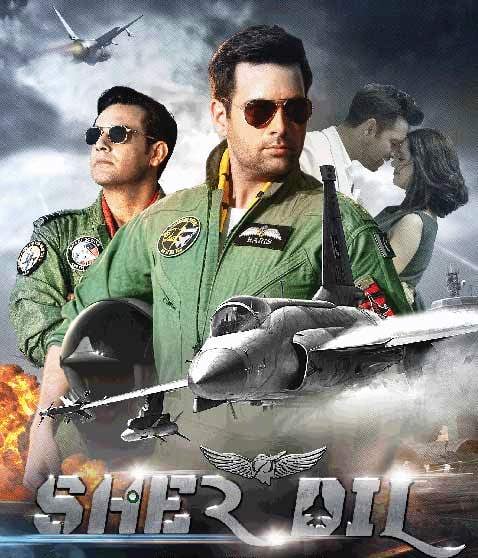 Sherdil full movie outlet hd