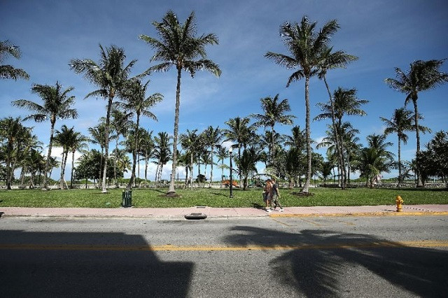 florida is known for its hot weather    and for producing bizarre tales of misadaventure photo afp