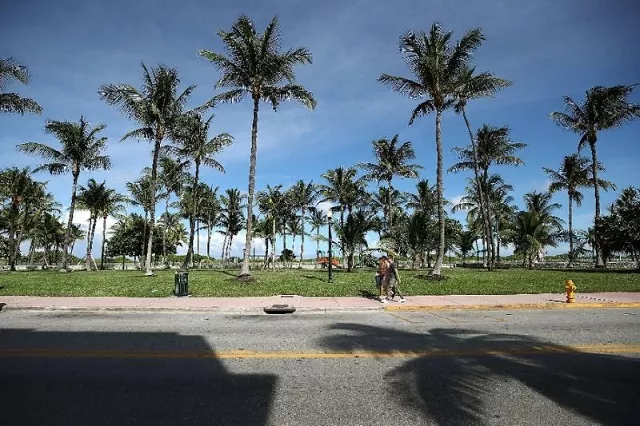 florida is known for its hot weather and for producing bizarre tales of misadaventure photo afp florida is known for its hot weather and for producing bizarre tales of misadaventure photo afp