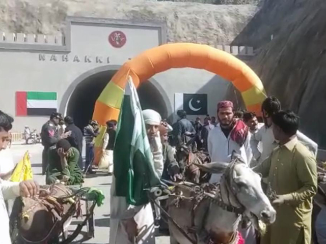 large number of cyclists and donkey cart owners participated in the race photo express