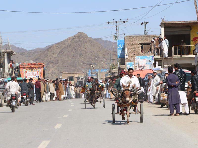 donkey carts take part in mohmand cycle rally photo express