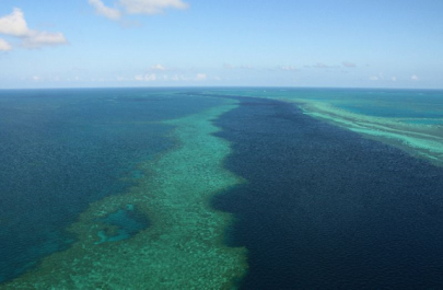 man mauled in fourth shark attack on barrier reef in six months man mauled in fourth shark attack on barrier reef in six months