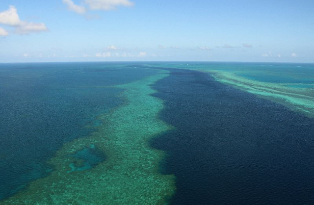 australia has one of the world 039 s highest incidences of shark attacks but fatalities remain rare photo afp