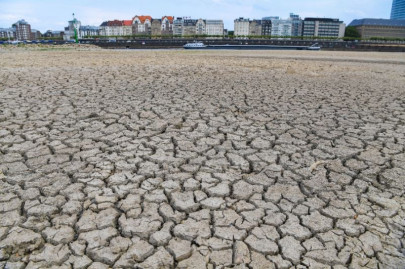 germany records hottest year in a century germany records hottest year in a century