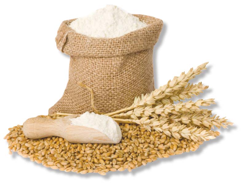 punjab food department facing acute dearth of wheat storage silos