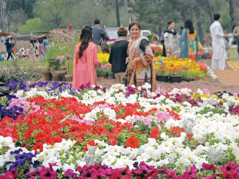 visitors enjoy annual flower show at rose and jasmine garden islamabad photo zafar aslam express visitors enjoy annual flower show at rose and jasmine garden islamabad photo zafar aslam express