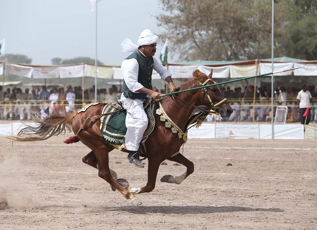this photograph taken on march 27 2019 a pakistani horse rider charges across a course holding a lance to pick up pegs during an attempt for a guinness world record for tent pegging in khanewal district in punjab province photo afp this photograph taken on march 27 2019 a pakistani horse rider charges across a course holding a lance to pick up pegs during an attempt for a guinness world record for tent pegging in khanewal district in punjab province photo afp