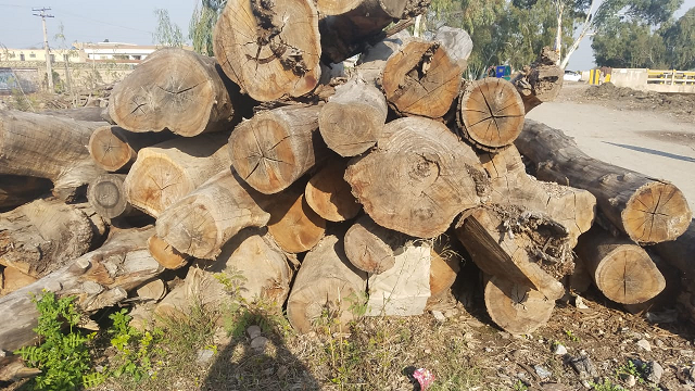 poor planning and negligence have led to the government incurring losses of millions photo express poor planning and negligence have led to the government incurring losses of millions photo express