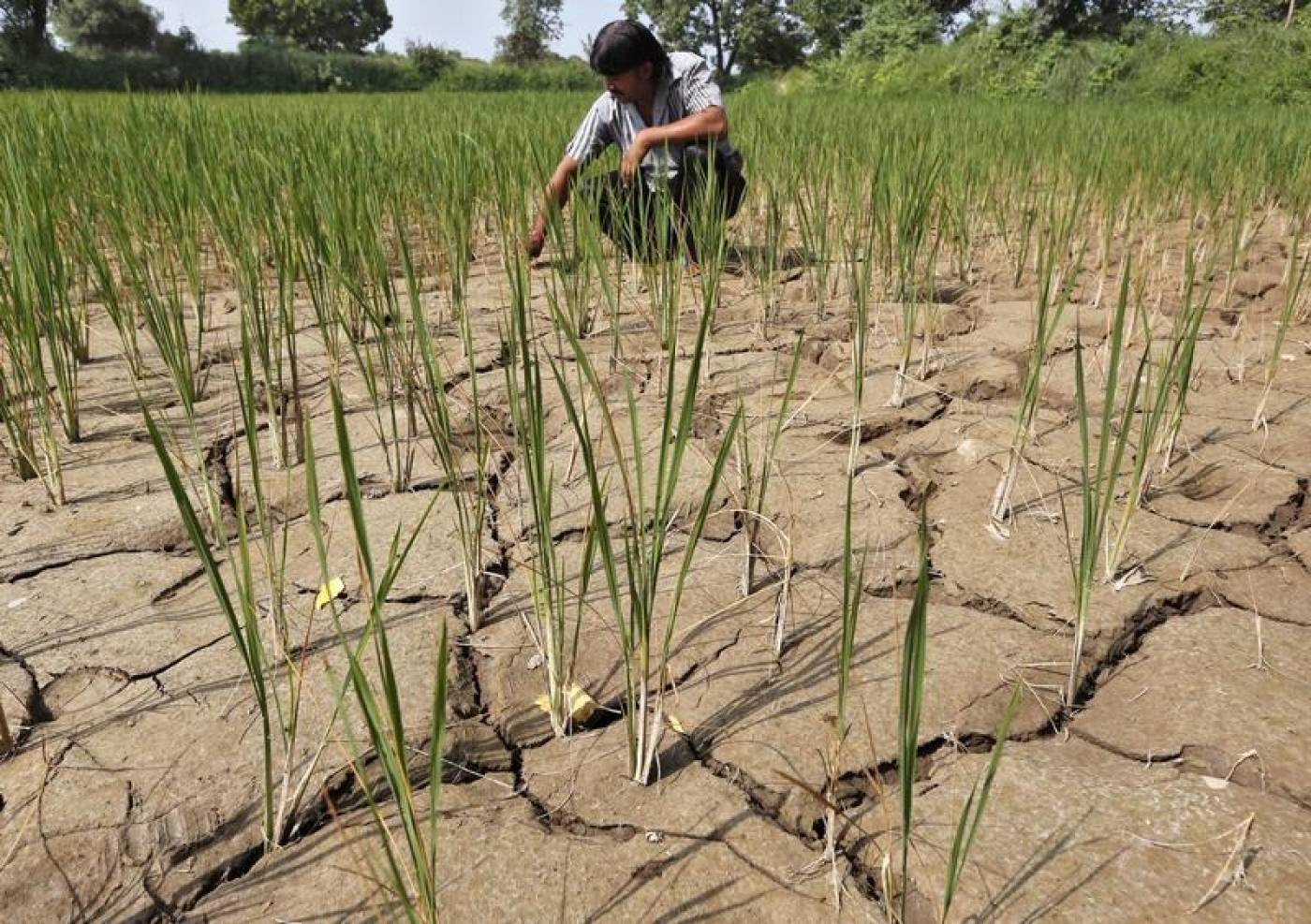 14 water shortage likely in early kharif season