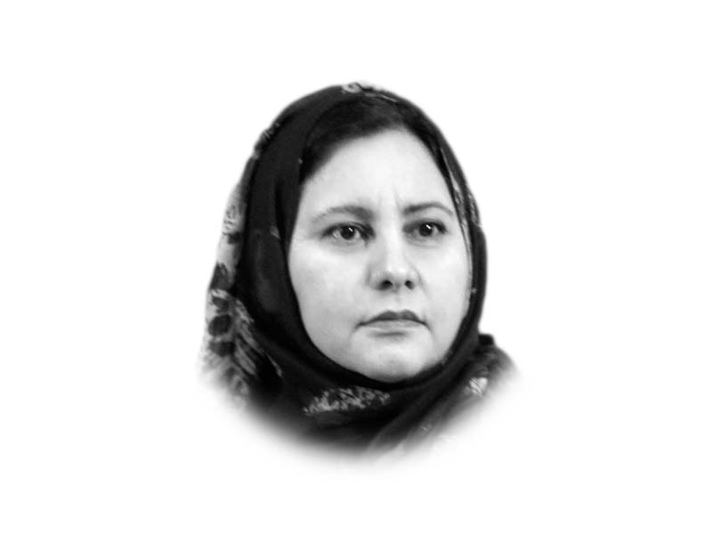 the writer is a geopolitical analyst she also writes at globaltab net and tweets aneelashahzad