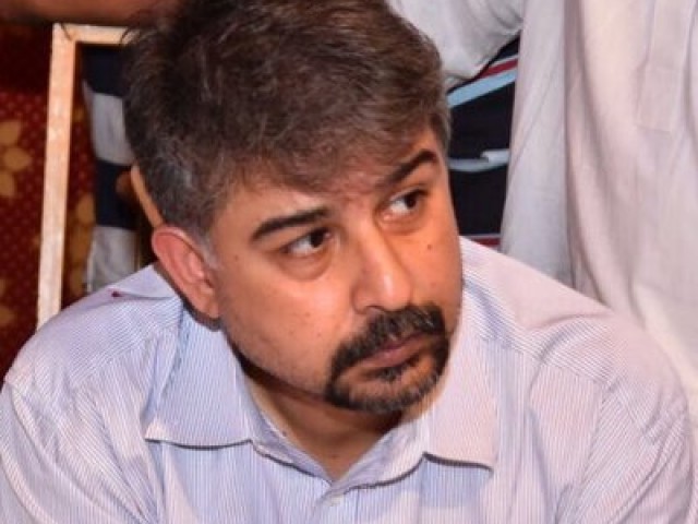 former mqm p leader ali raza abidi photo file