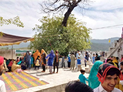 welcoming spring with colours of harmony in k p welcoming spring with colours of harmony in k p